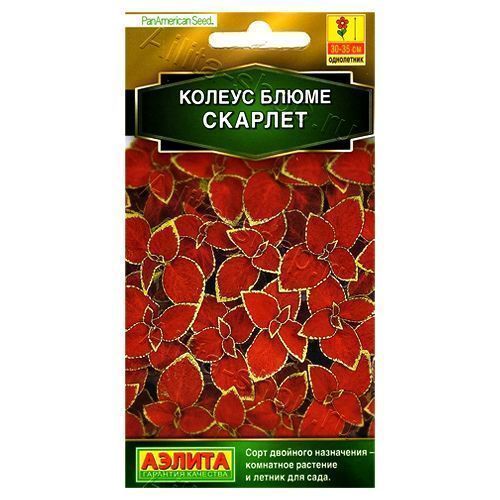 ������ ������ ������ ����� ������� ������   ����