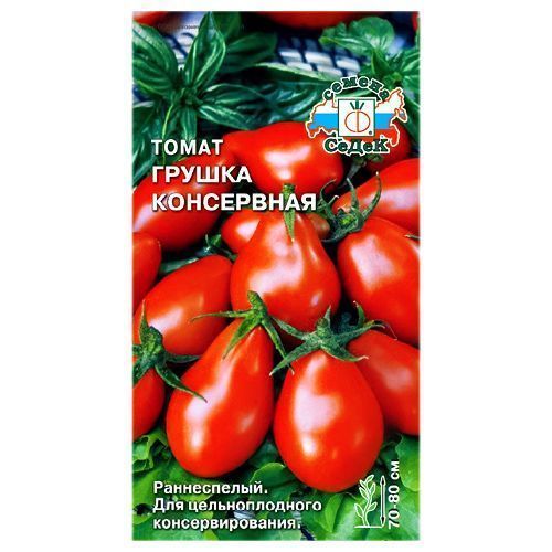 ������ ������ ����� ������ ���������� �����   ����