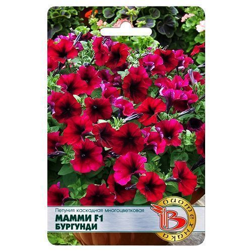 ������ ������ ������� ��������� �������������� ����� �������� F1 ����������   ����