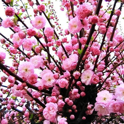 ������ ������ ������ ����� �����   ����