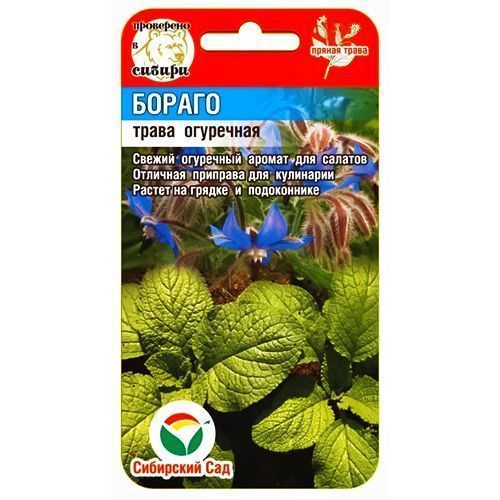 ������ ������ ��������� ����� ������ ��������� ���   ����