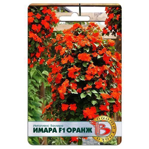 ������ ������ ��������� (���������) ������� ����� F1 ����� ����������   ����