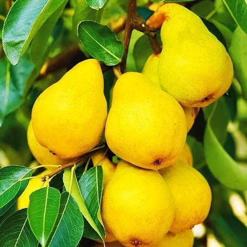 ������ ������ ����� ������������ ���������������   ����