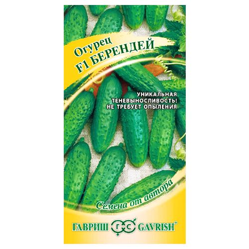 ������ ������ ������ �������� F1 ������   ����