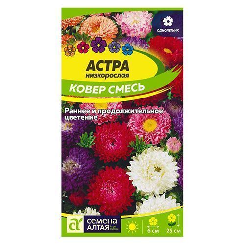 ������ ������ ����� ����������� �����, ����� ������� ������ �����   ����