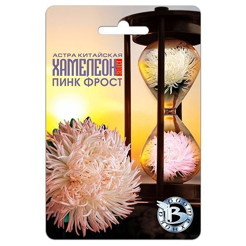 ������ ������ ����� ��������� �������� ������ ���� ����� ����������   ����