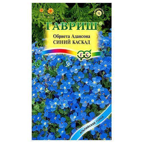 ������ ������ ������� �������� ����� ������ ������   ����