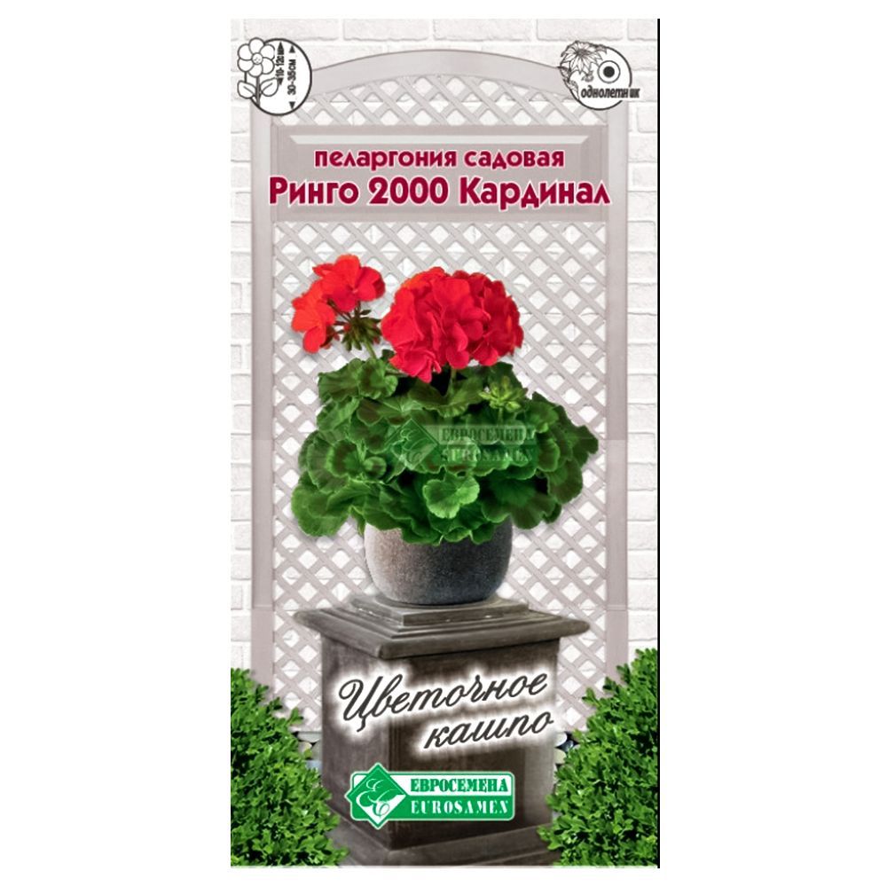 ������ ������ ���������� (������) ������� ����� 2000 �������� ����������   ����