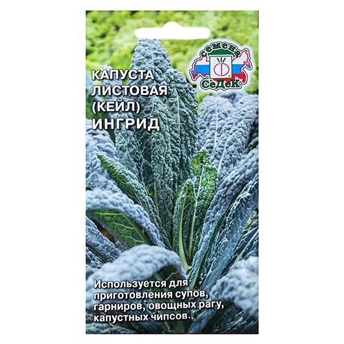 ������ ������ ������� �������� ������ �����   ����