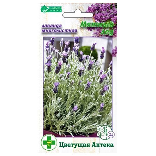 ������ ������ ������� ������������ ������ ��� ����������   ����