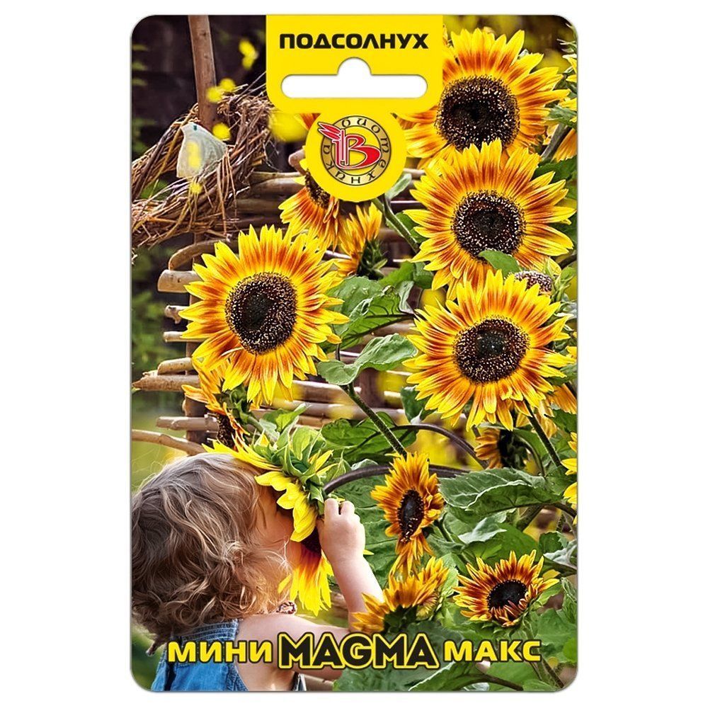 ������ ������ ��������� ��������� ����-���� Magma ����������   ����