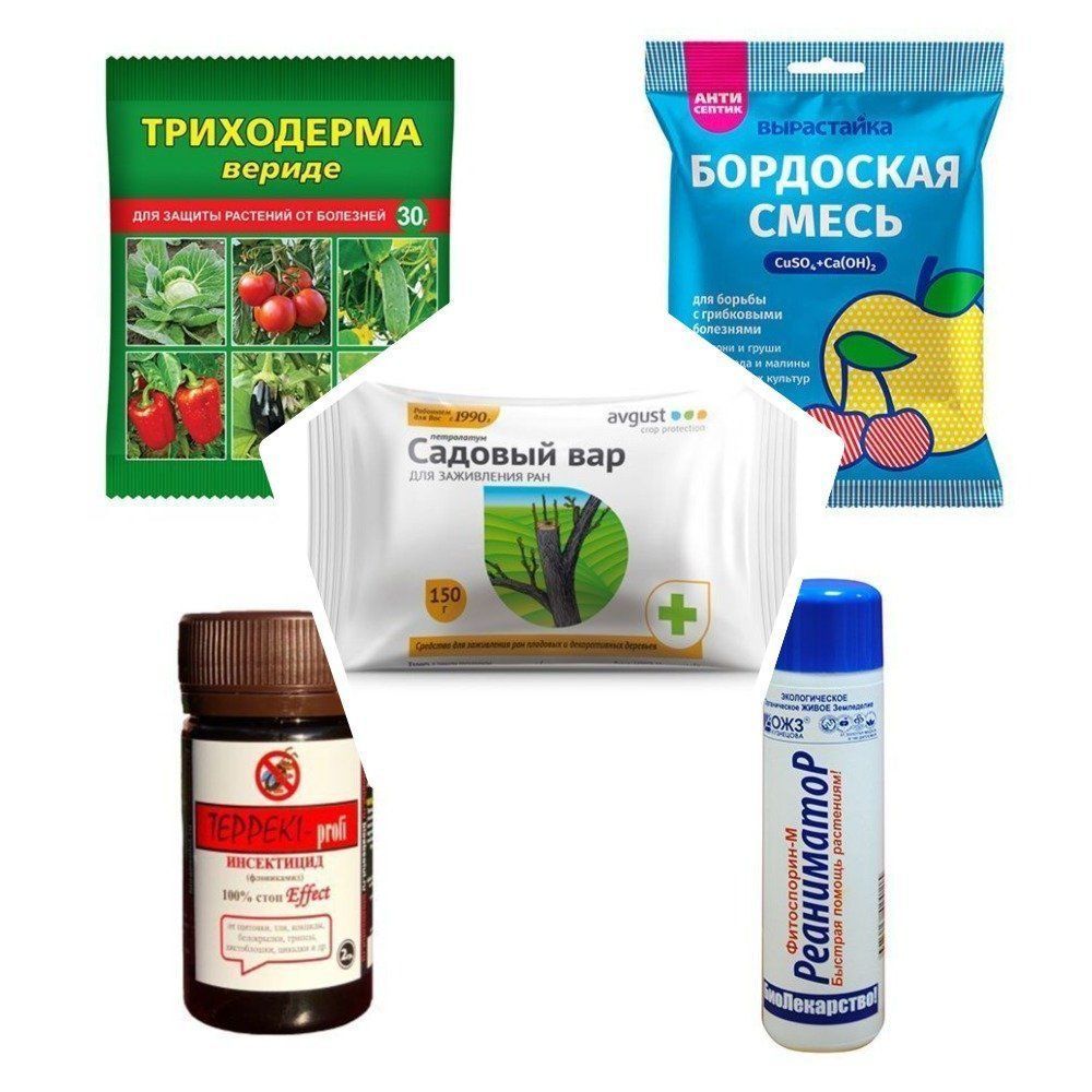 ������ ������ �����������! ����� ������������� 