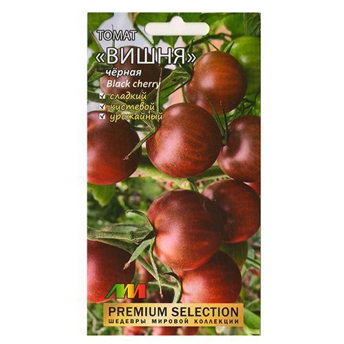 ������ ������ ����� ����� ������ ����������� ������ �.�.   ����