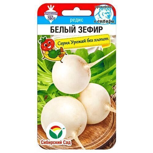 ������ ������ ����� ����� ����� ��������� ���   ����