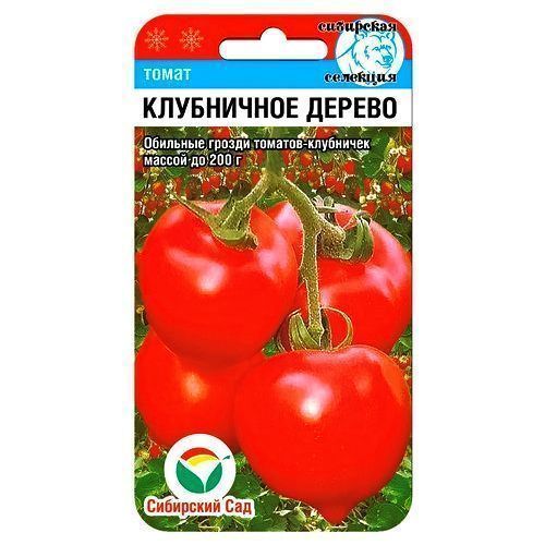 ������ ������ ����� ���������� ������ ��������� ���   ����