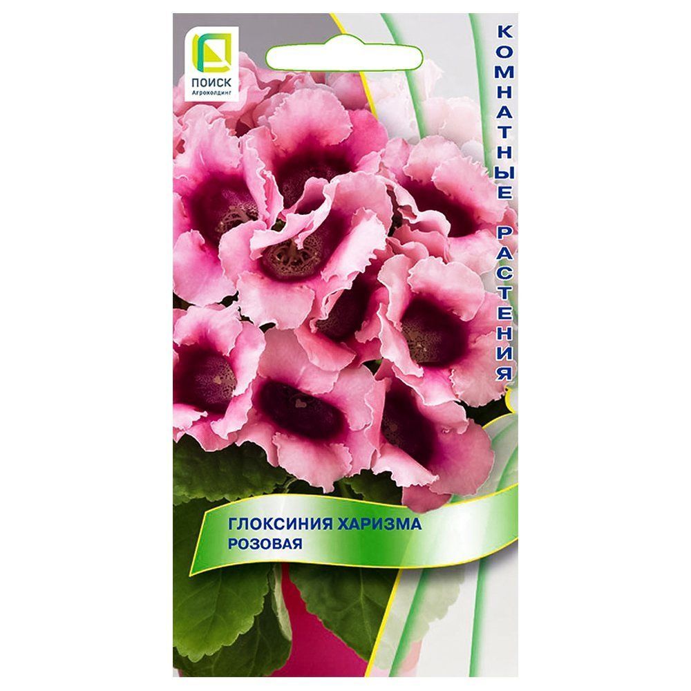 ������ ������ ��������� ������� ������� �����   ����