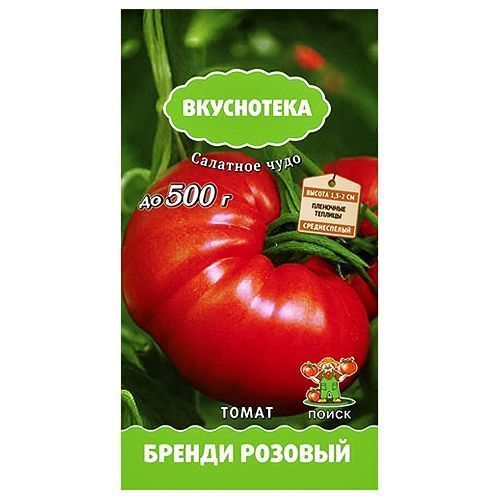 ������ ������ ����� ������ ������� �����   ����