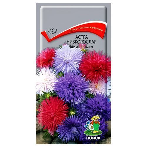 ������ ������ ����� ����������� ����� ����, ����� ������� �����   ����