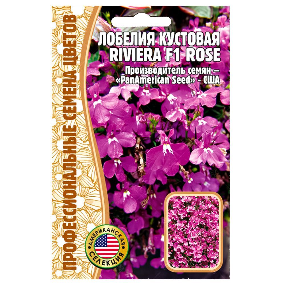    Riviera Rose F1      -     , -, 