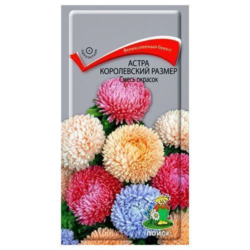 ������ ������ ����� ����������� ������, ����� ������� �����   ����