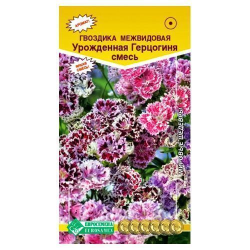 ������ ������ �������� ���������� ���������� ���������, ����� ������� ����������   ����