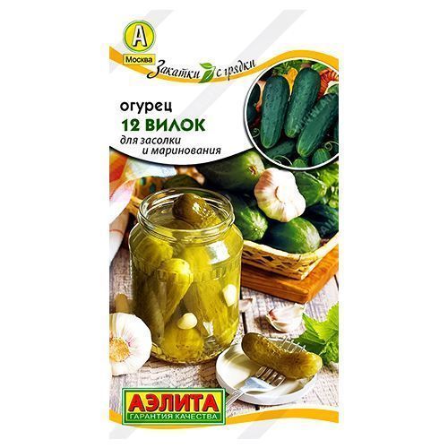 ������ ������ ������ �������� 12 ����� ������   ����