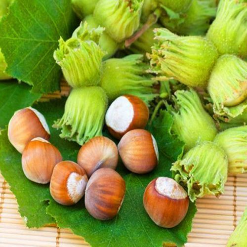 ������ ������ ������ ������   ����