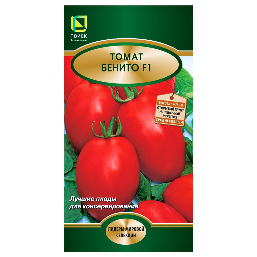 ������ ������ ����� ������ F1 �����   ����