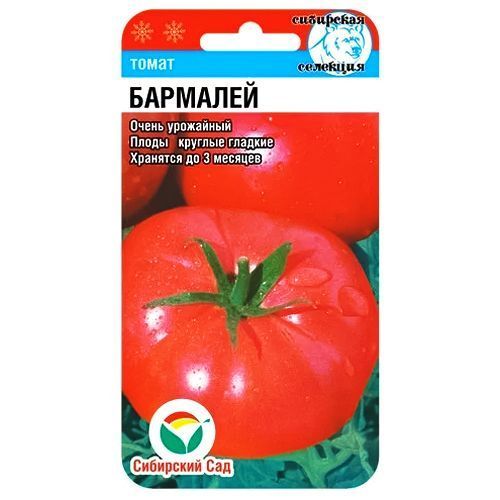 ������ ������ ����� �������� ��������� ���   ����