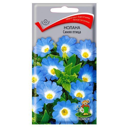 ������ ������ ������ ����� ����� �����   ����