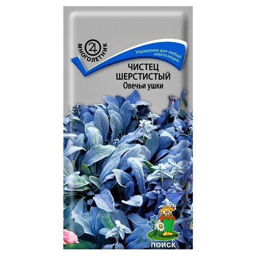 ������ ������ ������ ���������� ������ ���� �����   ����