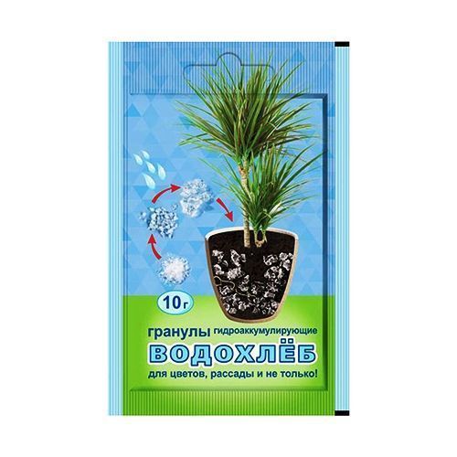 ������ ������ ��������, ������� ��� ������ � ������� 10 �   ����