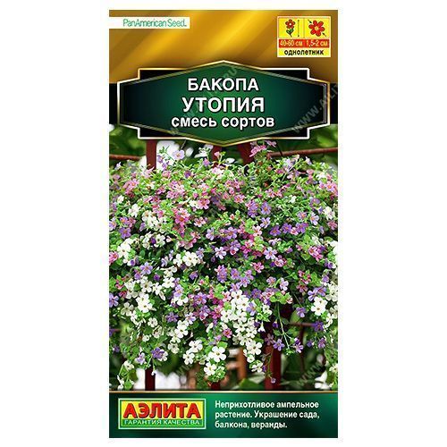 ������ ������ ������ ������, ����� ������� ������   ����