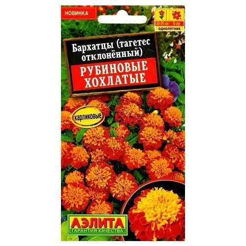 ������ ������ �������� ����������� ��������� �������� ������   ����