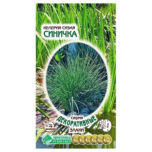 ������ ������ ������� ����� ������� ����������   ����