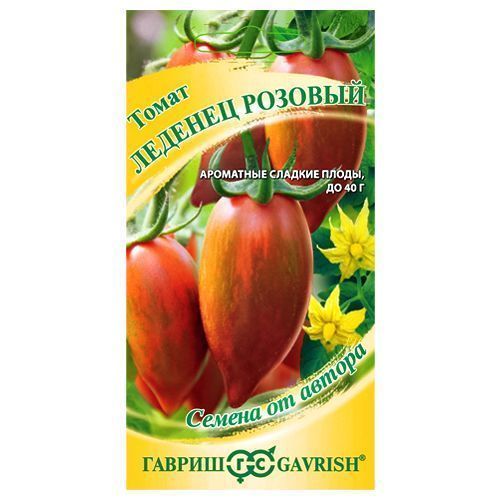 ������ ������ ����� ������� ������� ������   ����