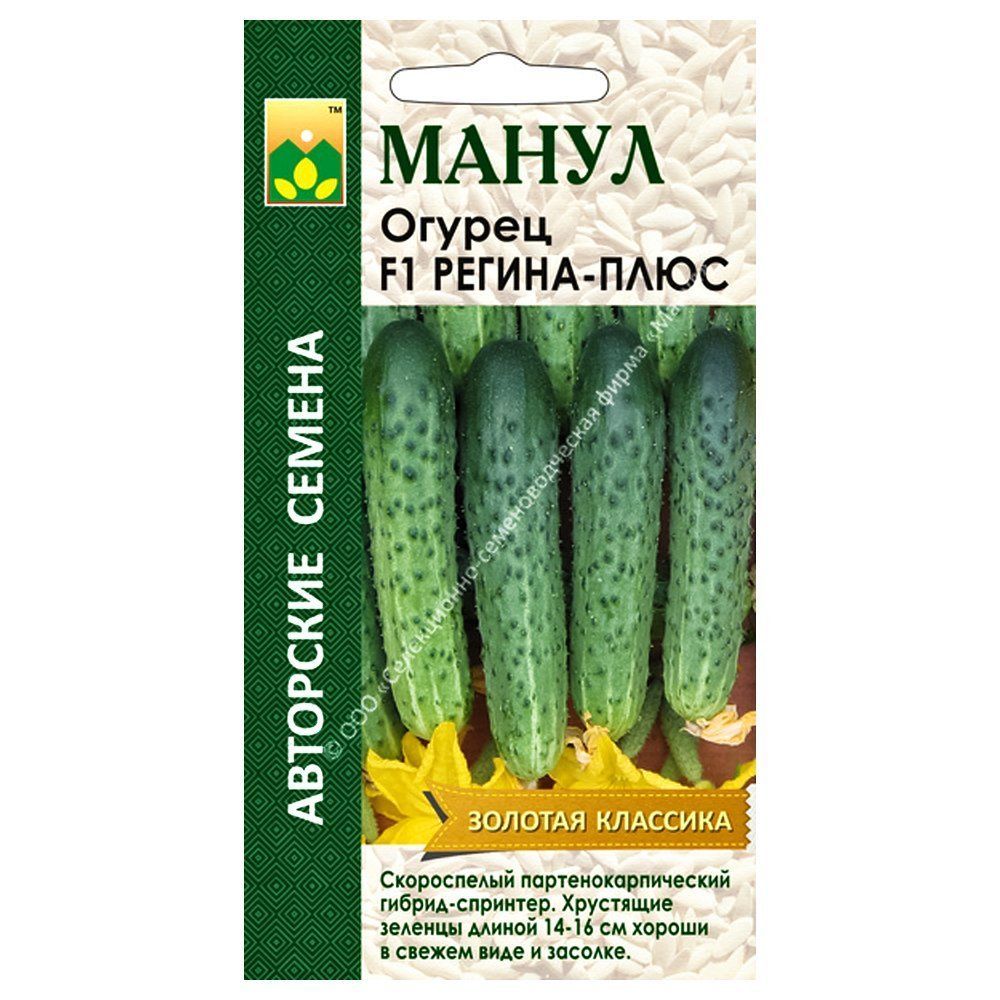 ������ ������ ������ ������-���� F1 �����   ����