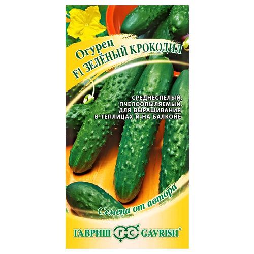 ������ ������ ������ ������� �������� F1 ������   ����