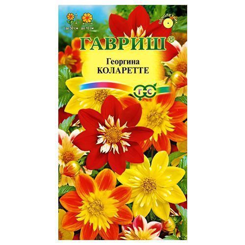 ������ ������ �������� ���������, ����� ������� ������   ����