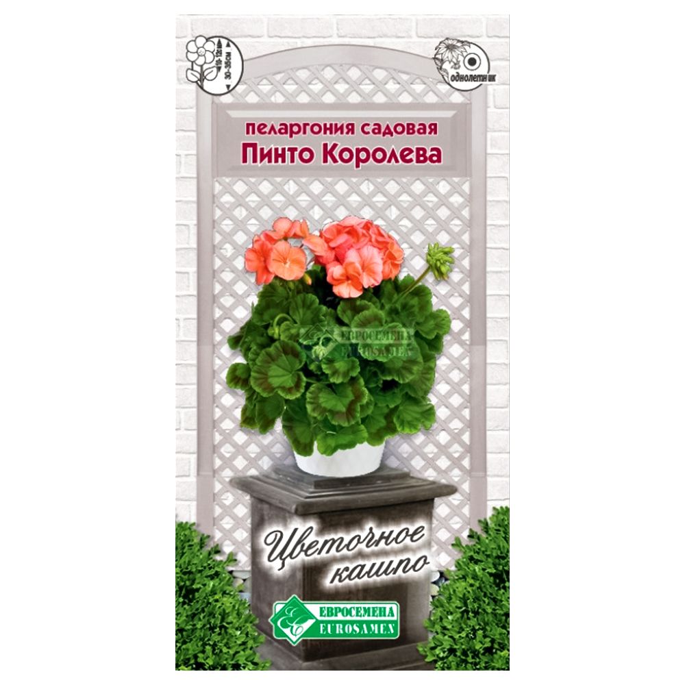 ������ ������ ���������� (������) ������� ����� �������� ����������   ����