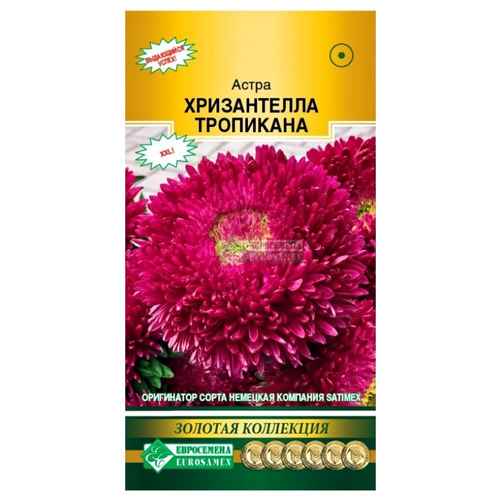 ������ ������ ����� ��������� ����������� ��������� ����������   ����