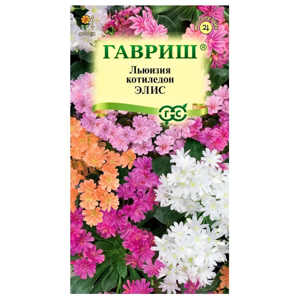 ������ ������ ������� ��������� (������� �����������) ����, ����� ������� ������   ����