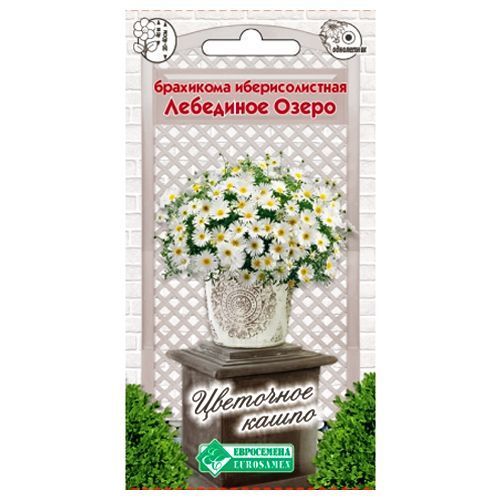 ������ ������ ��������� �������������� ��������� ����� ����������   ����