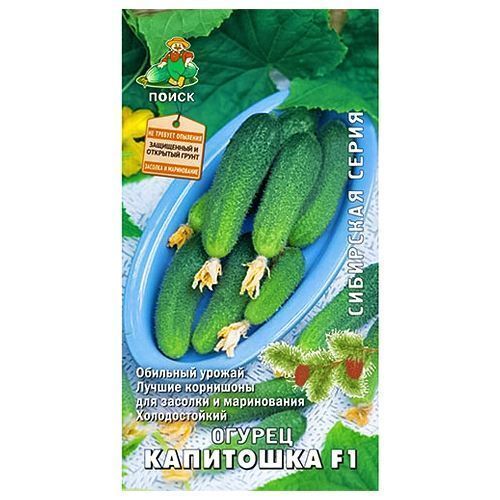 ������ ������ ������ ��������� F1 �����   ����