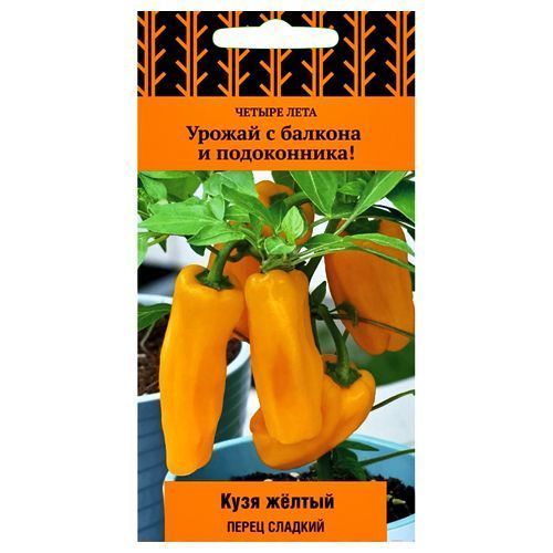 ������ ������ ����� ������� ���� ������ �����   ����