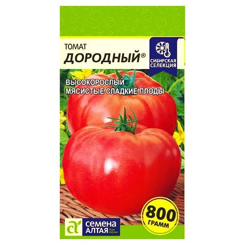 ������ ������ ����� �������� ������ �����   ����