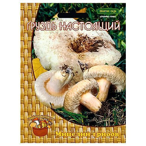 ������ ������ ������ ����� (���������) �����   ����