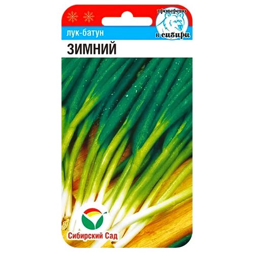 ������ ������ ��� ����� ������ ��������� ���   ����