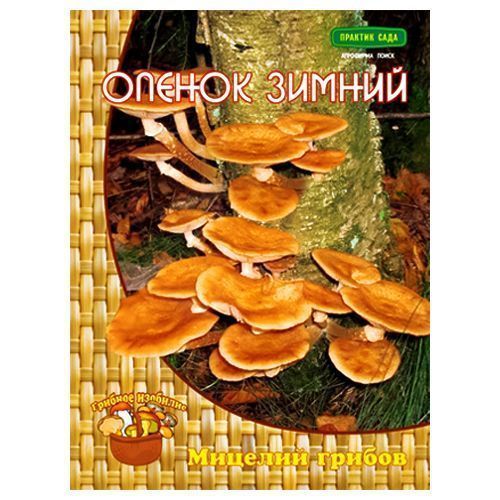 ������ ������ ������ ������ �����   ����