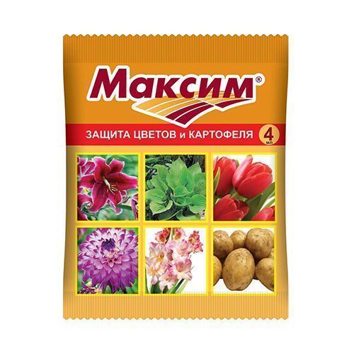 ������ ������ ������, �������� �� �������� �������� 4 ��   ����